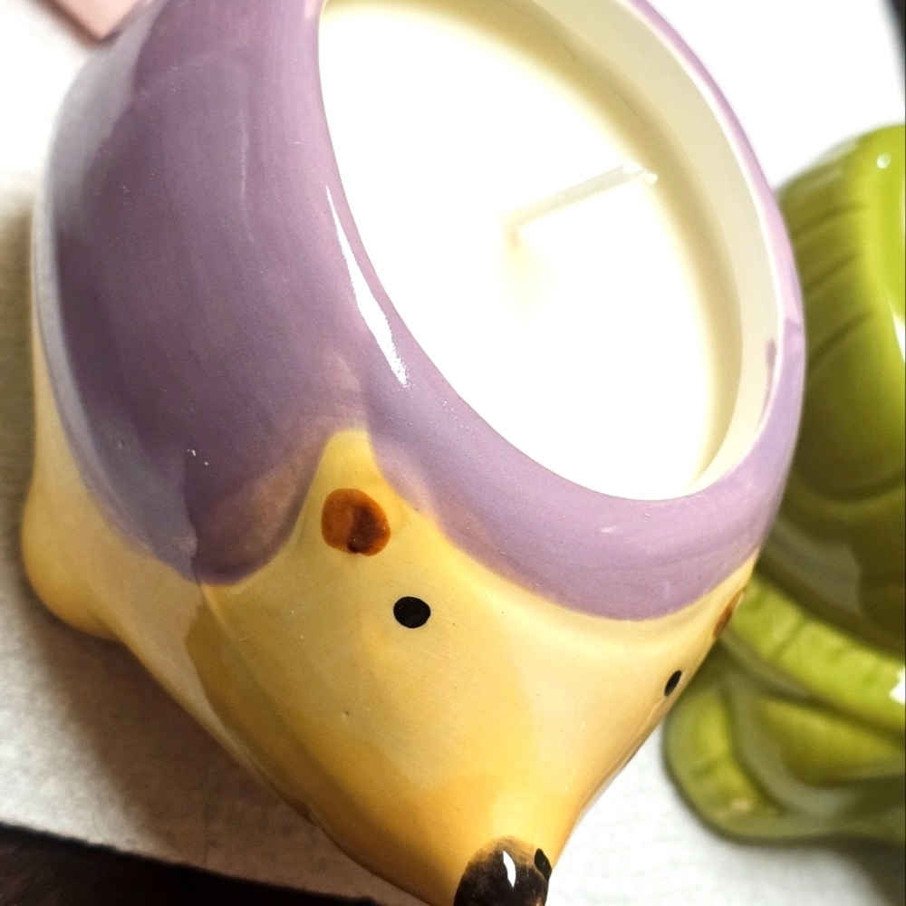 Hedgehog Candle